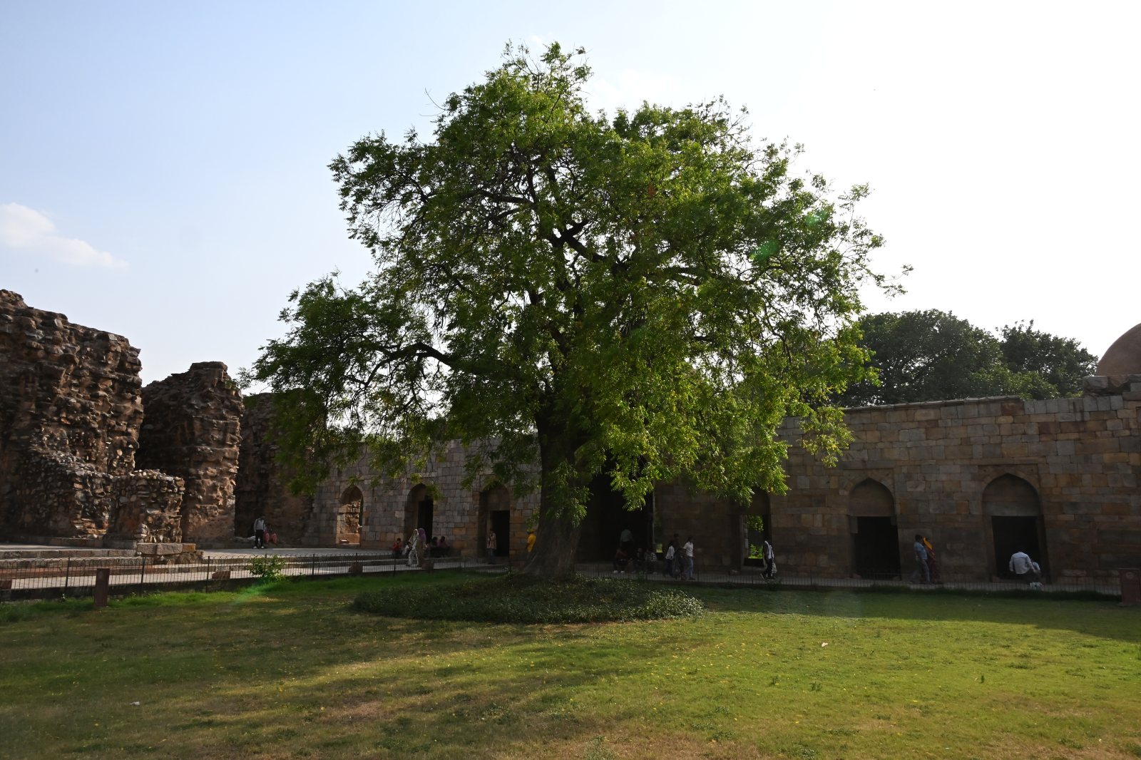 DSC_0496.JPG