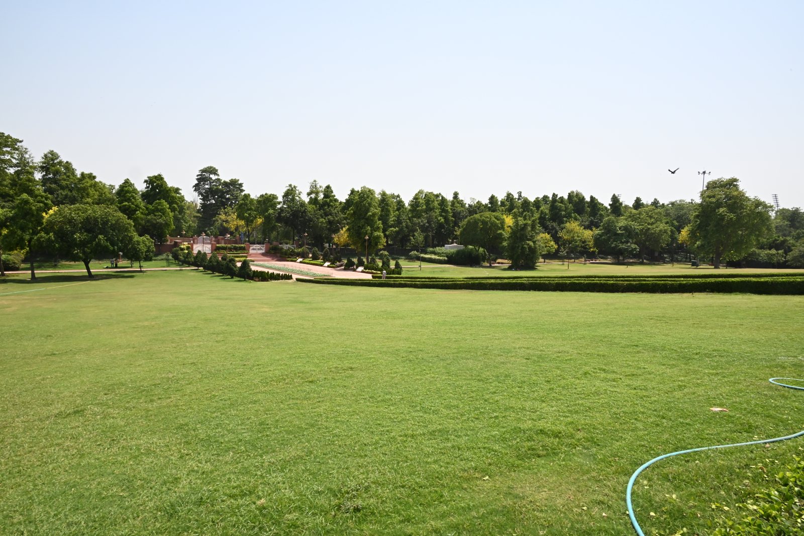 DSC_0908.JPG