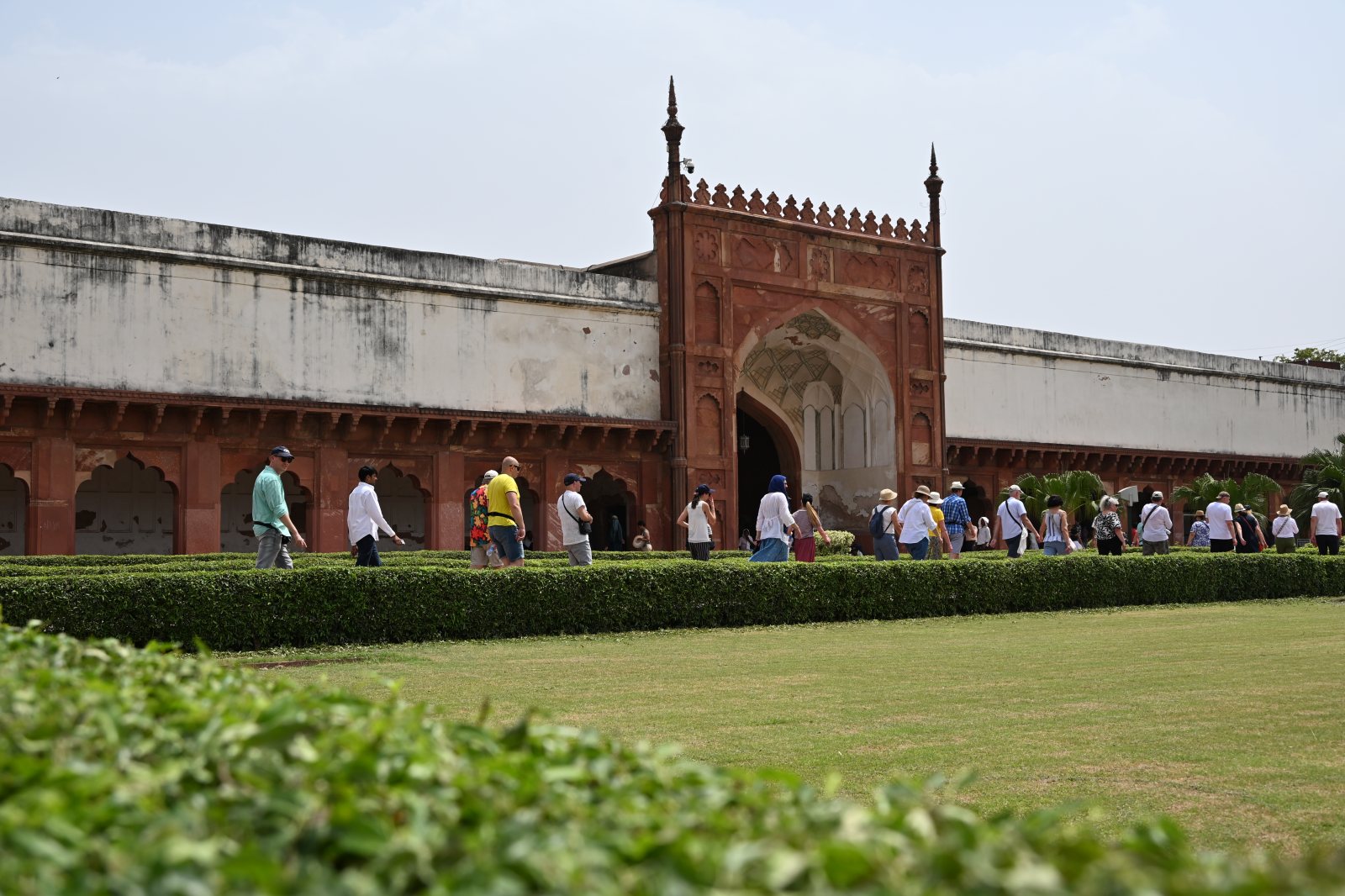DSC_3176.JPG