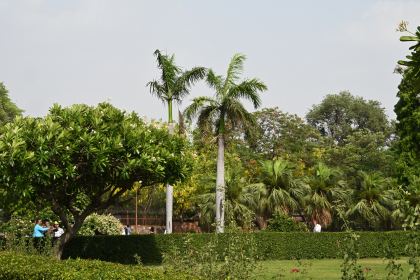 DSC_0445.JPG