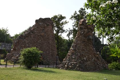 DSC_0501.JPG
