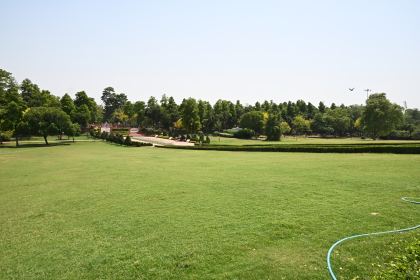 DSC_0908.JPG