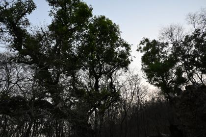 DSC_1444.JPG