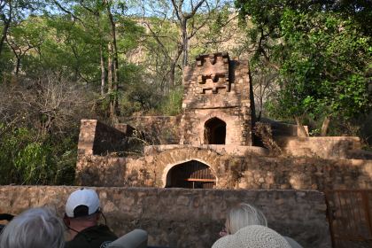 DSC_1474.JPG
