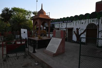 DSC_1483.JPG
