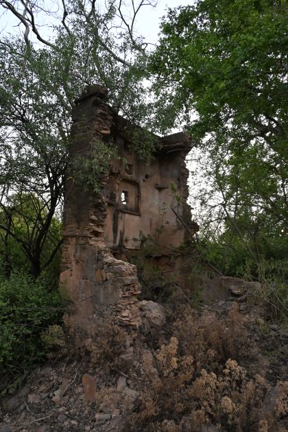 DSC_1490.JPG