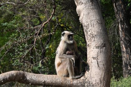 DSC_1675.JPG