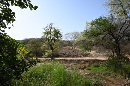 DSC_1733.JPG