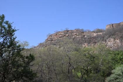 DSC_1738.JPG