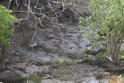 DSC_1753.JPG