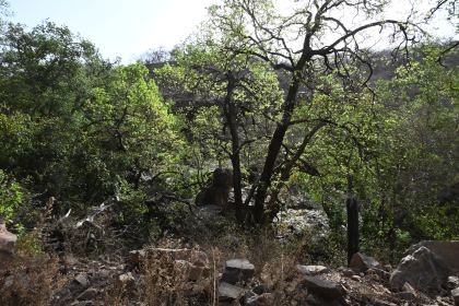 DSC_1764.JPG