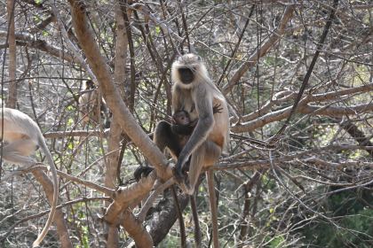 DSC_1783.JPG
