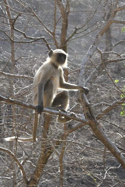 DSC_1791.JPG