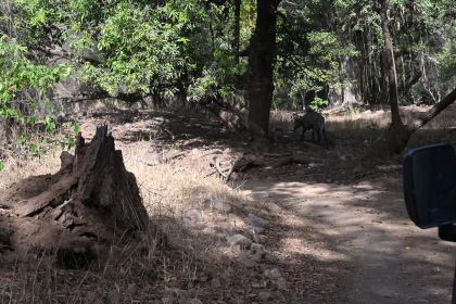 DSC_1807.JPG