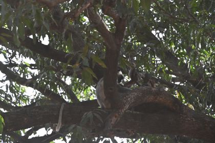 DSC_1838.JPG