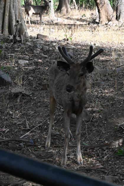 DSC_1868.JPG