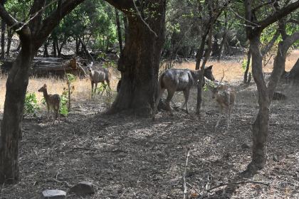 DSC_1882.JPG