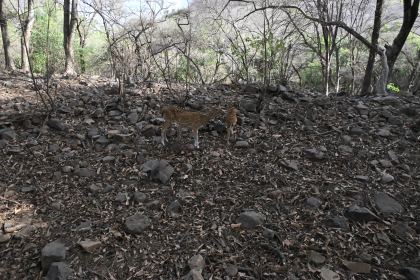 DSC_1893.JPG