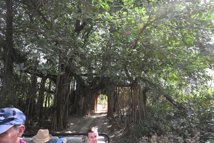 DSC_1947.JPG
