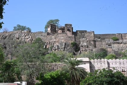 DSC_1963.JPG