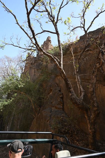 DSC_1977.JPG