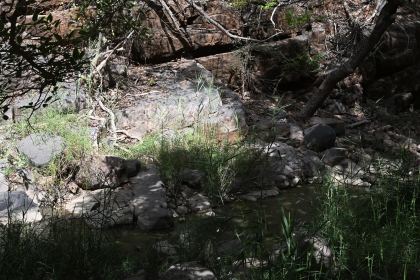 DSC_1995.JPG