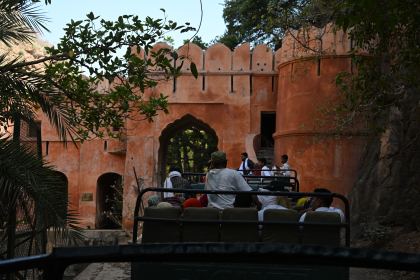 DSC_2013.JPG
