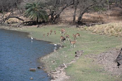 DSC_2074.JPG