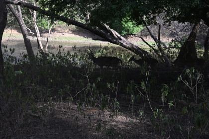 DSC_2159.JPG