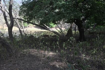 DSC_2164.JPG