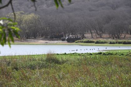 DSC_2185.JPG