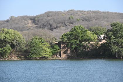 DSC_2212.JPG