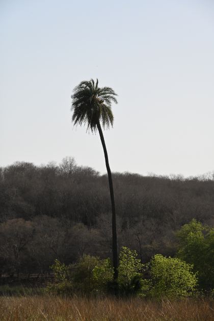 DSC_2227.JPG