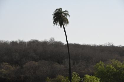 DSC_2229.JPG
