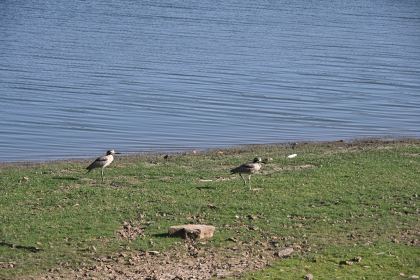 DSC_2235.JPG