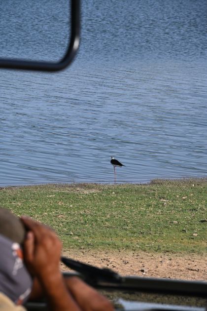 DSC_2240.JPG