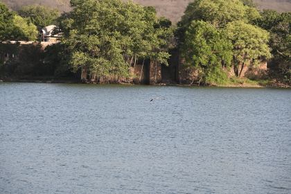DSC_2243.JPG