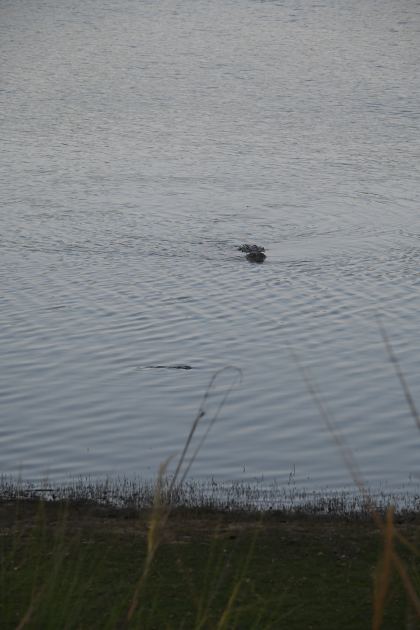DSC_2278.JPG