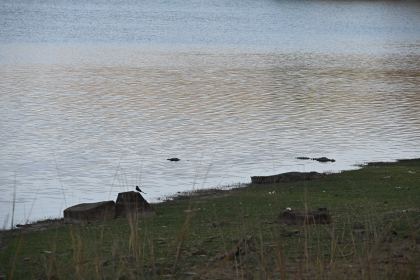 DSC_2288.JPG