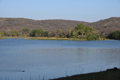 DSC_2296.JPG
