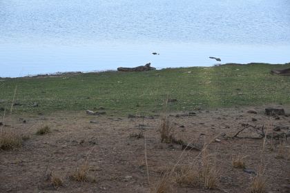 DSC_2299.JPG