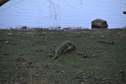 DSC_2305.JPG