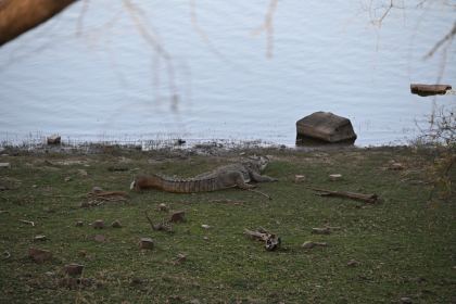 DSC_2319.JPG