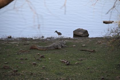 DSC_2325.JPG