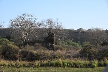 DSC_2327.JPG