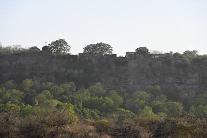 DSC_2344.JPG