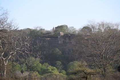 DSC_2348.JPG