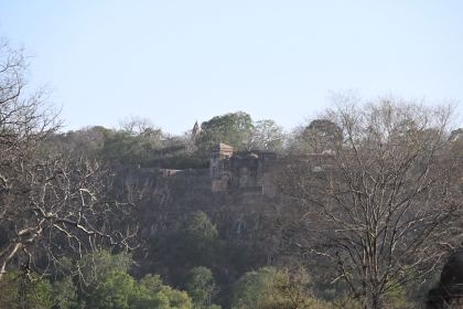 DSC_2349.JPG