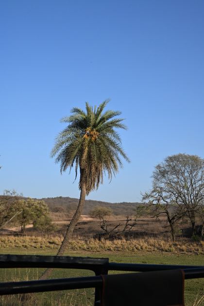DSC_2350.JPG