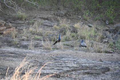 DSC_2365.JPG